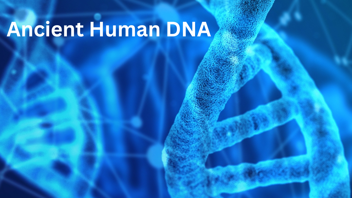 Insights from ancient human DNA provide clues to the high prevalence of multiple sclerosis in present day northern Europeans