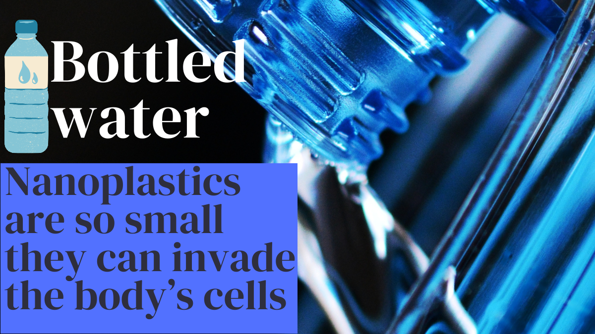 A study suggests that bottled water contains numerous Nano plastics so tiny that they can infiltrate the bodys cells